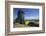 View from the Mittelsteine of the Teufelsmauer, Saxony-Anhalt-Uwe Steffens-Framed Photographic Print