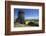 View from the Mittelsteine of the Teufelsmauer, Saxony-Anhalt-Uwe Steffens-Framed Photographic Print