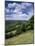 View from the North Downs Near Dorking, Surrey, England, United Kingdom-John Miller-Mounted Photographic Print