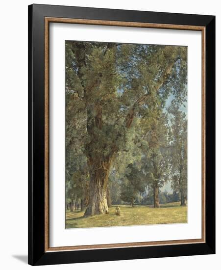 View from the Prater in Vienna (With Tree at Left)-Ferdinand Georg Waldmüller-Framed Giclee Print