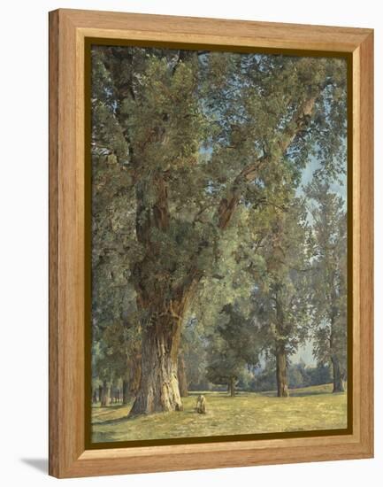 View from the Prater in Vienna (With Tree at Left)-Ferdinand Georg Waldmüller-Framed Premier Image Canvas