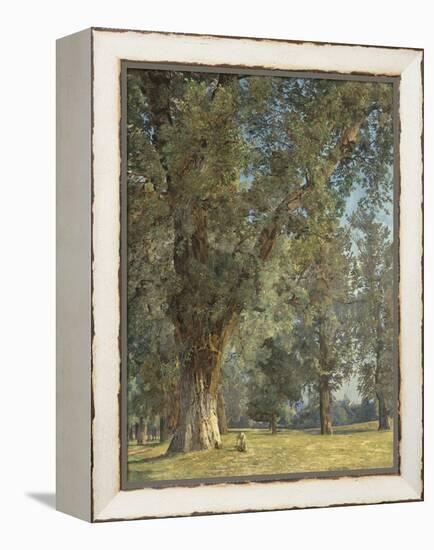 View from the Prater in Vienna (With Tree at Left)-Ferdinand Georg Waldmüller-Framed Premier Image Canvas