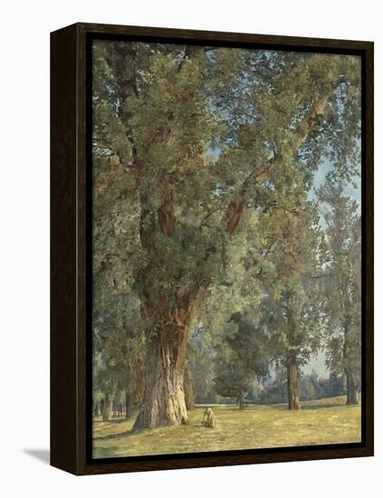 View from the Prater in Vienna (With Tree at Left)-Ferdinand Georg Waldmüller-Framed Premier Image Canvas