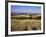 View from the Ridgeway of the Vale of Aylesbury, Buckinghamshire, England, United Kingdom-David Hughes-Framed Photographic Print