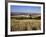 View from the Ridgeway of the Vale of Aylesbury, Buckinghamshire, England, United Kingdom-David Hughes-Framed Photographic Print