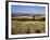 View from the Ridgeway of the Vale of Aylesbury, Buckinghamshire, England, United Kingdom-David Hughes-Framed Photographic Print