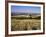 View from the Ridgeway of the Vale of Aylesbury, Buckinghamshire, England, United Kingdom-David Hughes-Framed Photographic Print