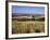 View from the Ridgeway of the Vale of Aylesbury, Buckinghamshire, England, United Kingdom-David Hughes-Framed Photographic Print