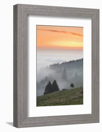 view from the Schauinsland over the Rhine plain at fog, Black Forest, Baden-Wurttemberg, Germany-Markus Lange-Framed Photographic Print