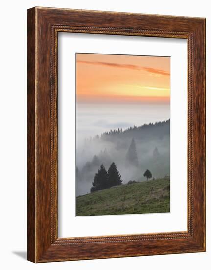 view from the Schauinsland over the Rhine plain at fog, Black Forest, Baden-Wurttemberg, Germany-Markus Lange-Framed Photographic Print