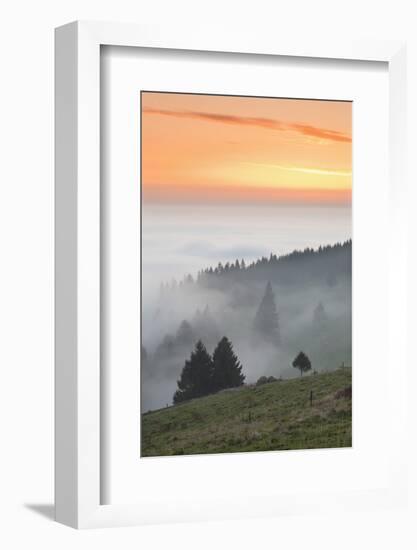 view from the Schauinsland over the Rhine plain at fog, Black Forest, Baden-Wurttemberg, Germany-Markus Lange-Framed Photographic Print