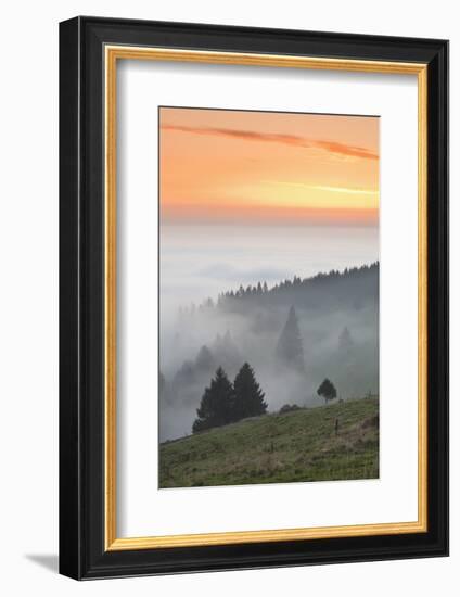 view from the Schauinsland over the Rhine plain at fog, Black Forest, Baden-Wurttemberg, Germany-Markus Lange-Framed Photographic Print