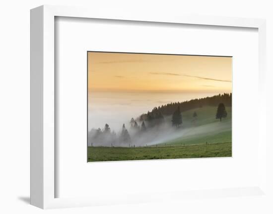 view from the Schauinsland over the Rhine plain at fog, Black Forest, Baden-Wurttemberg, Germany-Markus Lange-Framed Photographic Print