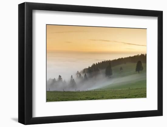 view from the Schauinsland over the Rhine plain at fog, Black Forest, Baden-Wurttemberg, Germany-Markus Lange-Framed Photographic Print