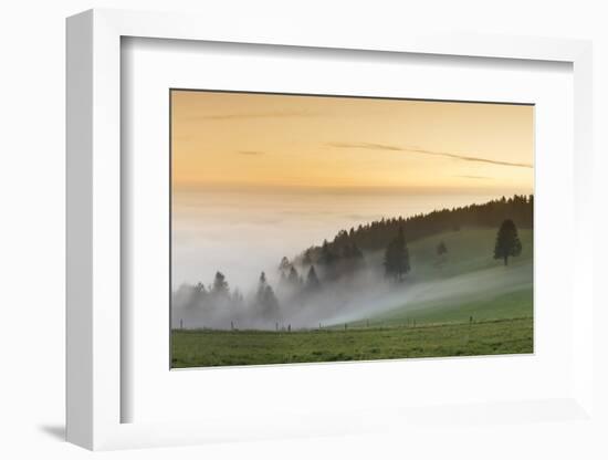 view from the Schauinsland over the Rhine plain at fog, Black Forest, Baden-Wurttemberg, Germany-Markus Lange-Framed Photographic Print