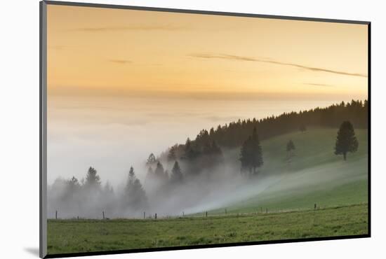 view from the Schauinsland over the Rhine plain at fog, Black Forest, Baden-Wurttemberg, Germany-Markus Lange-Mounted Photographic Print