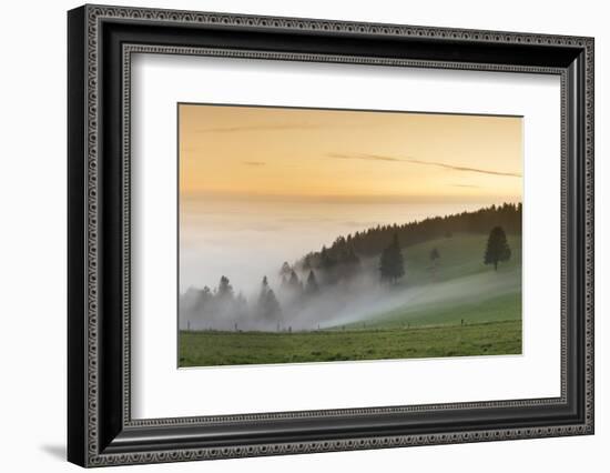 view from the Schauinsland over the Rhine plain at fog, Black Forest, Baden-Wurttemberg, Germany-Markus Lange-Framed Photographic Print