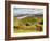 View from The Storr towards the Loch Leathan, Isle of Skye, Inner Hebrides, Scotland, United Kingdo-Karol Kozlowski-Framed Photographic Print