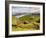 View from The Storr towards the Loch Leathan, Isle of Skye, Inner Hebrides, Scotland, United Kingdo-Karol Kozlowski-Framed Photographic Print