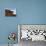 View from the Top of Isla De Pescado across the Salar De Uyuni, the Largest Salt Flat in the World-John Warburton-lee-Photographic Print displayed on a wall