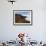 View from the Top of Isla De Pescado across the Salar De Uyuni, the Largest Salt Flat in the World-John Warburton-lee-Framed Photographic Print displayed on a wall