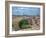 View from the Top of Metropol Parasol Structure, Seville, Spain-Felipe Rodriguez-Framed Photographic Print