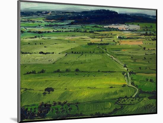 View from the Tor I, 2008, (Oil on Canvas)-Helen White-Mounted Giclee Print
