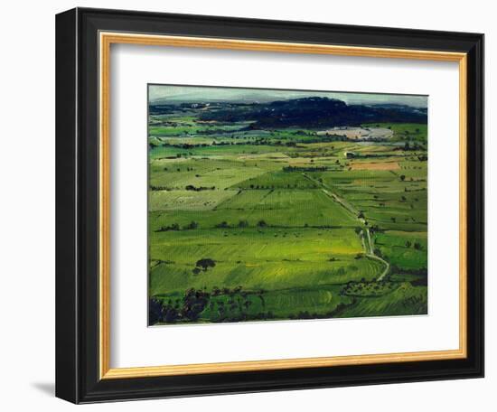 View from the Tor I, 2008, (Oil on Canvas)-Helen White-Framed Giclee Print