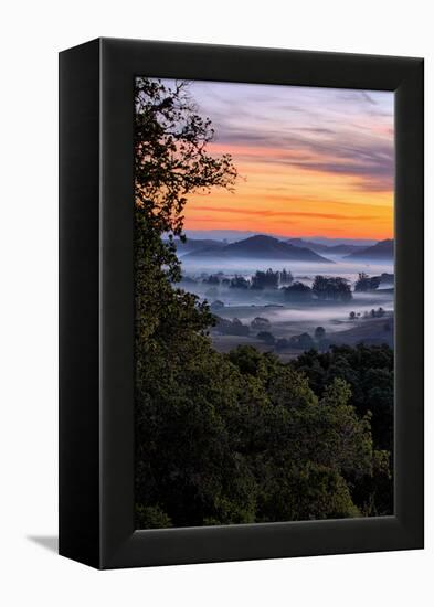 View From The Trees, Sunrise Petaluma Hills, Sonoma County-Vincent James-Framed Premier Image Canvas