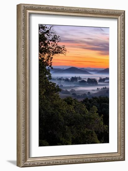 View From The Trees, Sunrise Petaluma Hills, Sonoma County-Vincent James-Framed Photographic Print