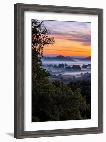 View From The Trees, Sunrise Petaluma Hills, Sonoma County-Vincent James-Framed Photographic Print