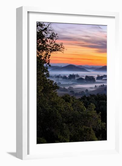 View From The Trees, Sunrise Petaluma Hills, Sonoma County-Vincent James-Framed Photographic Print