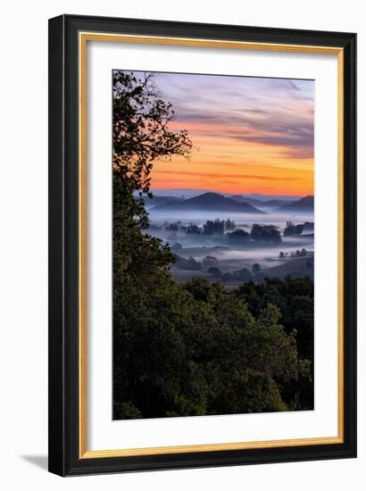 View From The Trees, Sunrise Petaluma Hills, Sonoma County-Vincent James-Framed Photographic Print