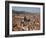 View from the Two Towers of Piazza Di Porta Ravegnana, Bologna, Emilia Romagna, Italy, Europe-Frank Fell-Framed Photographic Print