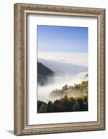 view from the Wiedener Eck to the Rhine plain at fog, Black Forest, Baden-Wurttemberg, Germany-Markus Lange-Framed Photographic Print