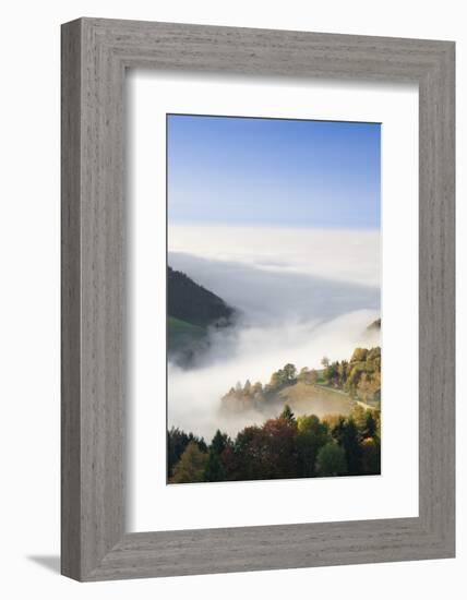 view from the Wiedener Eck to the Rhine plain at fog, Black Forest, Baden-Wurttemberg, Germany-Markus Lange-Framed Photographic Print
