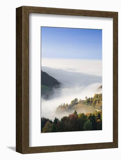 view from the Wiedener Eck to the Rhine plain at fog, Black Forest, Baden-Wurttemberg, Germany-Markus Lange-Framed Photographic Print