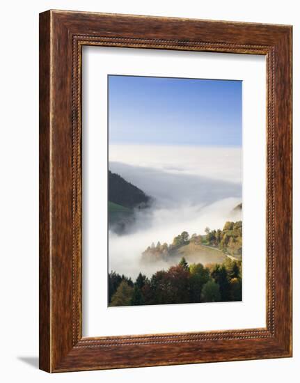 view from the Wiedener Eck to the Rhine plain at fog, Black Forest, Baden-Wurttemberg, Germany-Markus Lange-Framed Photographic Print