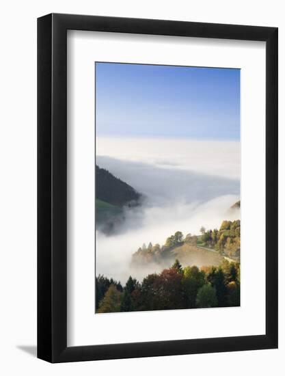 view from the Wiedener Eck to the Rhine plain at fog, Black Forest, Baden-Wurttemberg, Germany-Markus Lange-Framed Photographic Print