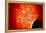 View from Uranus If Our Sun Were Replaced by Vy Canis Majoris-null-Framed Stretched Canvas