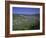 View from Vierseenbick Viewpoint, Rhine River, Rhineland-Palatinate, Germany, Europe-Gavin Hellier-Framed Photographic Print