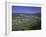 View from Vierseenbick Viewpoint, Rhine River, Rhineland-Palatinate, Germany, Europe-Gavin Hellier-Framed Photographic Print