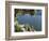 View From Villa Balbianello, Lenno, Lake Como, Lombardy, Italy, Europe-Vincenzo Lombardo-Framed Photographic Print