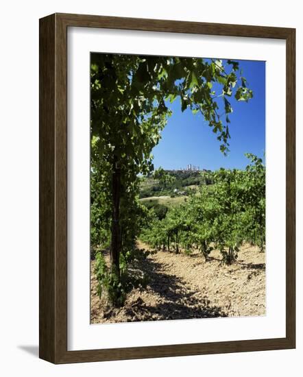 View from Vineyard of the Town of San Gimignano, Tuscany, Italy-Ruth Tomlinson-Framed Photographic Print