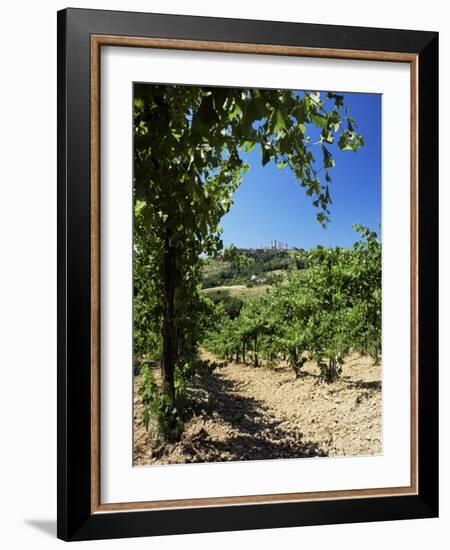 View from Vineyard of the Town of San Gimignano, Tuscany, Italy-Ruth Tomlinson-Framed Photographic Print