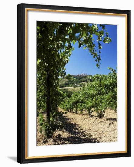 View from Vineyard of the Town of San Gimignano, Tuscany, Italy-Ruth Tomlinson-Framed Photographic Print