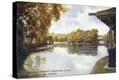 Stretched Canvas Print