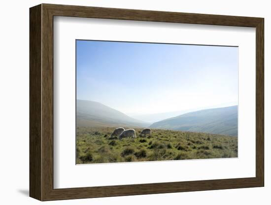 View in the Brecon Beacons National Park, Wales, United Kingdom-Graham Lawrence-Framed Photographic Print