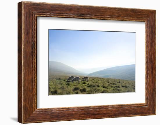 View in the Brecon Beacons National Park, Wales, United Kingdom-Graham Lawrence-Framed Photographic Print