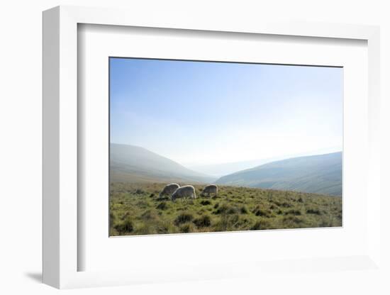 View in the Brecon Beacons National Park, Wales, United Kingdom-Graham Lawrence-Framed Photographic Print